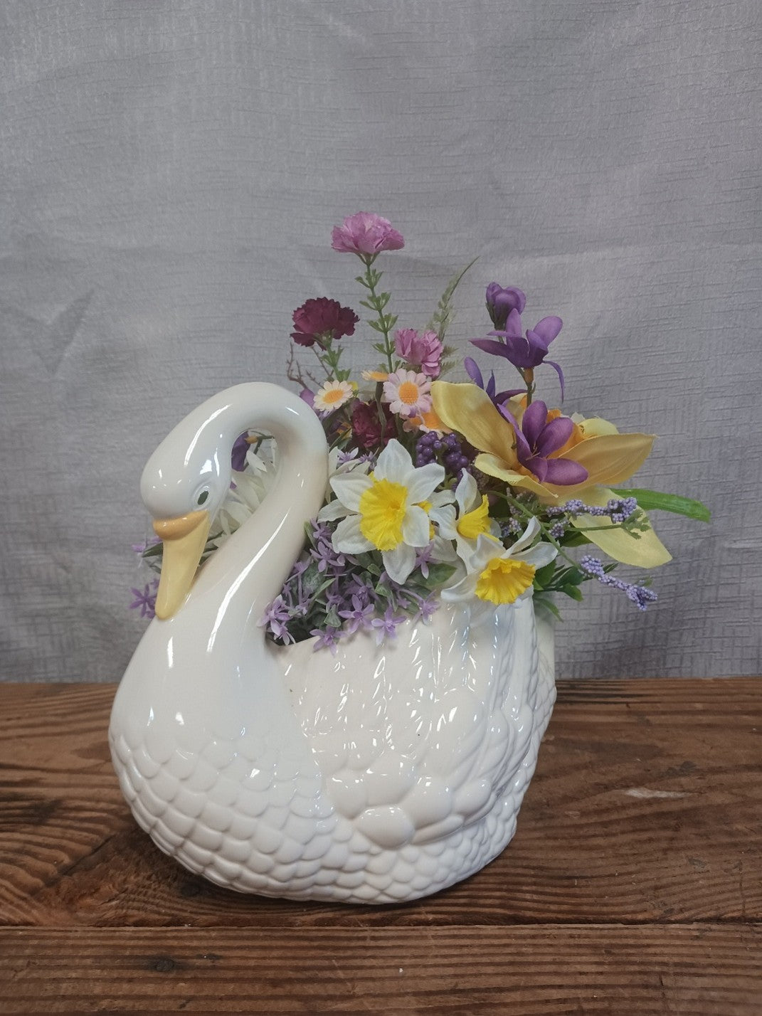 Large White Swan
