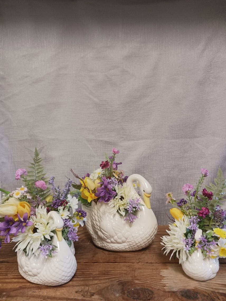 Three Swans in a Row