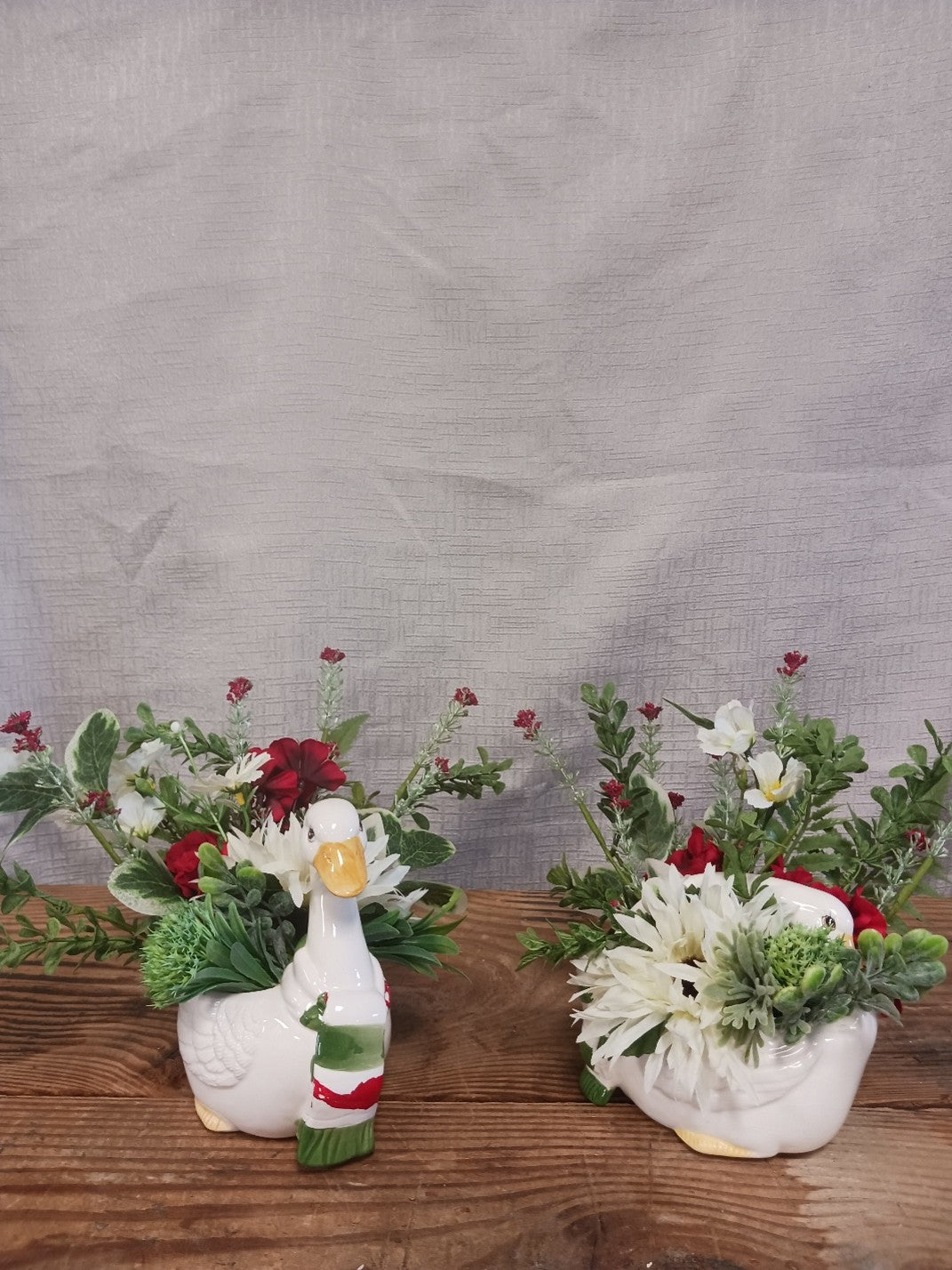 Red and White – Both Ducks
